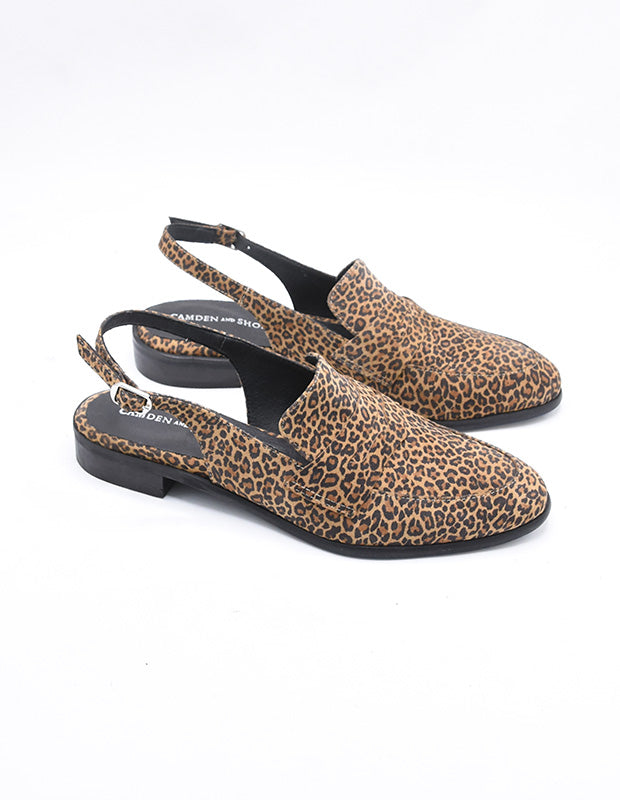 מוקסין דניאלה