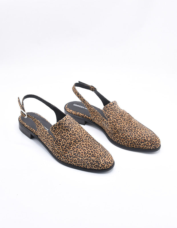 מוקסין דניאלה