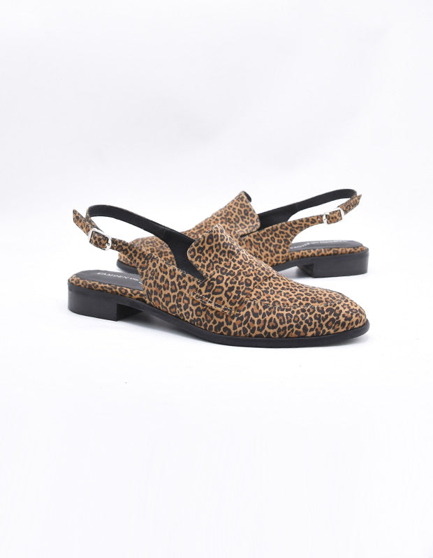 מוקסין דניאלה