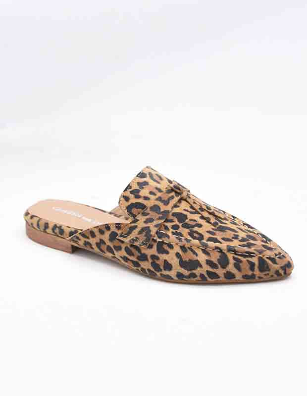 הכפכף המושלם ביותר