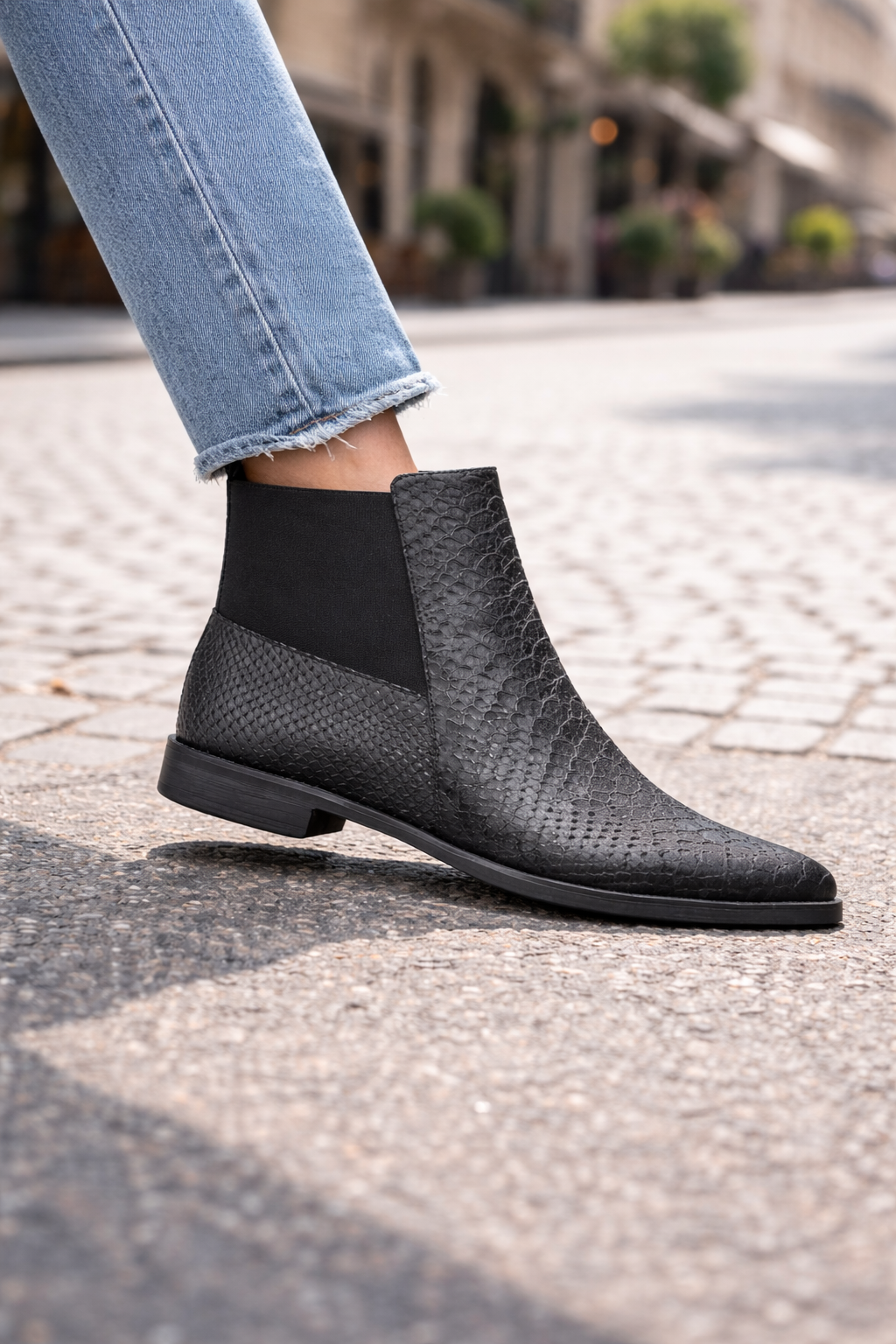 Capsule Collection-06