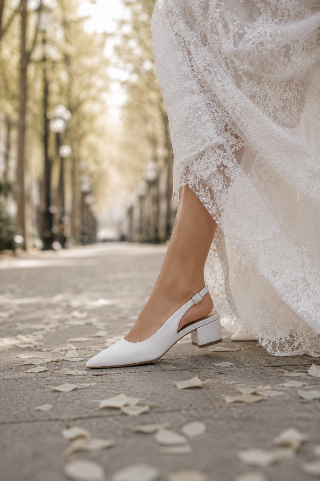 Elegance Silhouette
